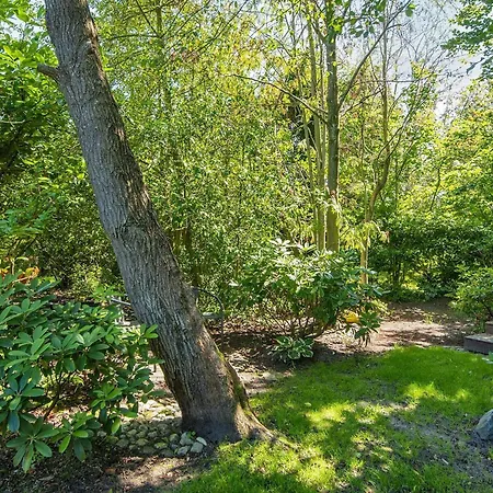 Ferienhaus 8 Person In Glesborg